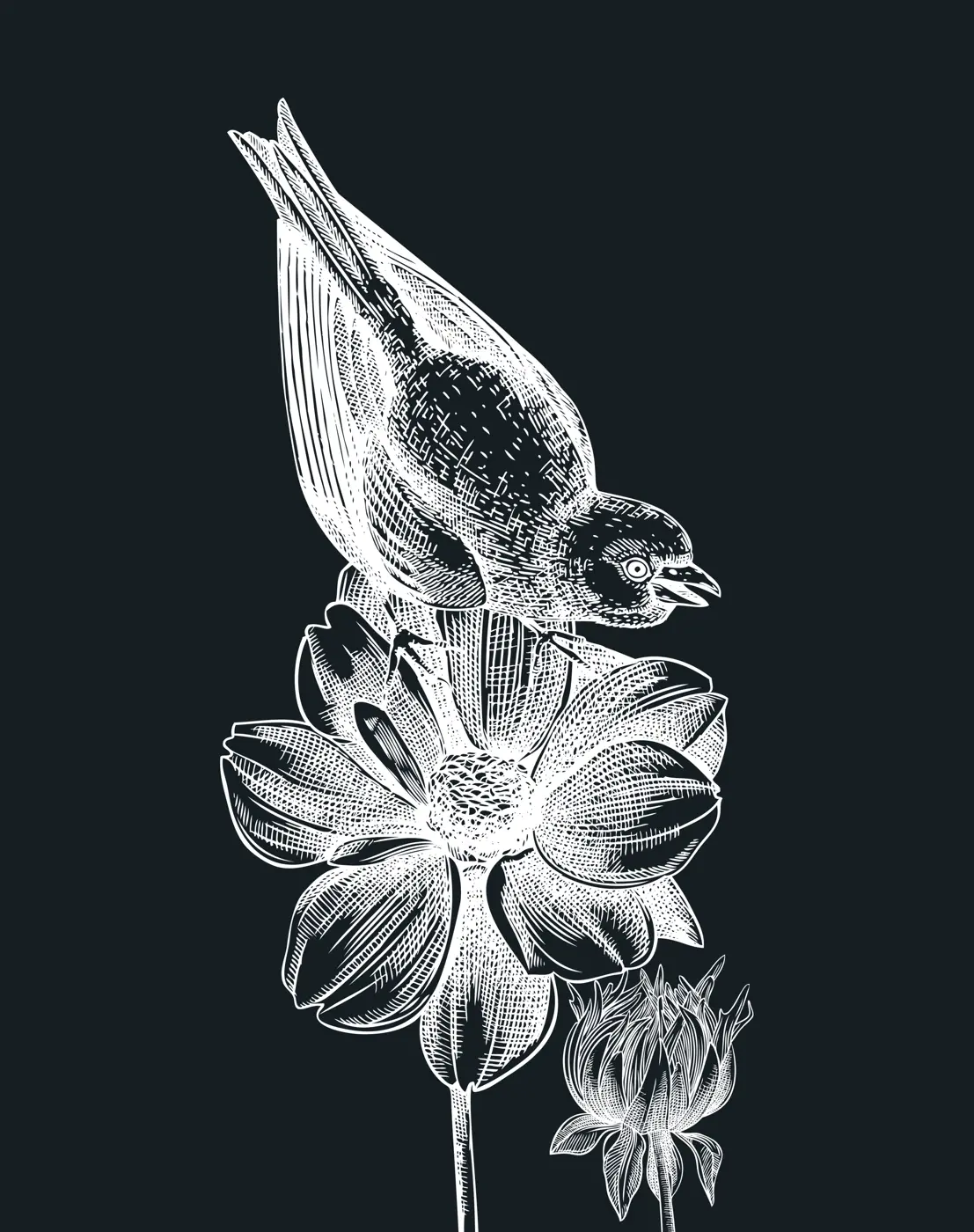 Hand-sketched bird with autumn flowers illustration on chalkboard. Fall design with birds, florals, geometric shapes, and abstract elements. Can be used for print, poster, wall art, social media Illustration